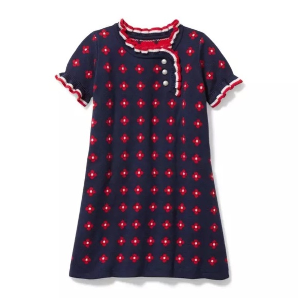 Janie and Jack Navy and Red Geo Floral Sweater Dress